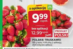 Stokrotka Truskawki polskie oferta
