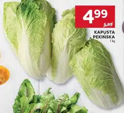 Stokrotka Kapusta pekińska oferta