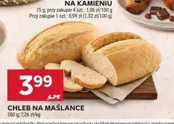 Stokrotka Chleb na maślance oferta