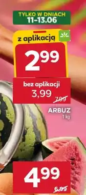 Stokrotka Arbuz oferta