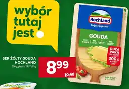 Stokrotka Ser żółty Gouda Hochland oferta
