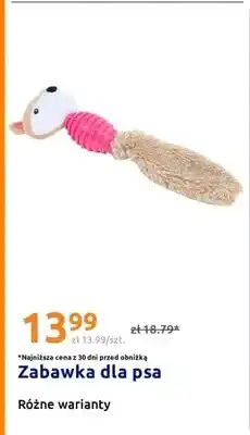 Action Zabawka dla psa oferta