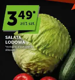 ABC Sałata lodowa oferta