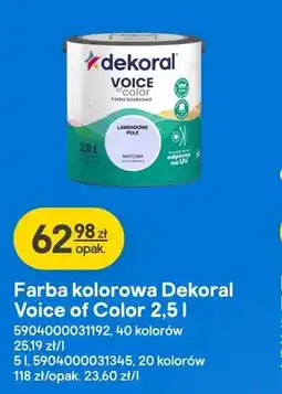 Castorama Farba kolorowa Dekoral Voice of Color oferta