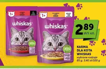 Karma dla kota Whiskas 1+ z kurczakiem w galaretce