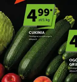 ABC Cukinia oferta
