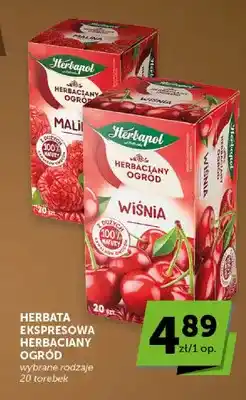 ABC Herbata ekspresowa Herbaciany Ogród wiśnia Herbapol oferta