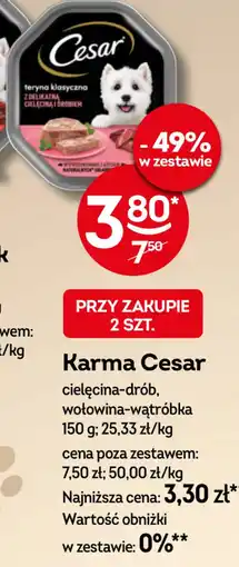 Żabka Cesar Karma oferta