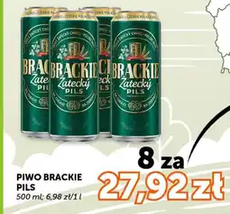 Groszek Brackie Piwo Pils oferta