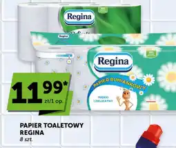 Groszek Regina Papier toaletowy oferta
