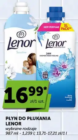 Groszek Lenor Płyn do płukania oferta