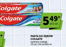 Groszek Colgate Pasta do zębów oferta