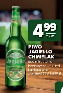 Stokrotka Market Piwo Jagiełło Chmielak oferta