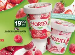 Stokrotka Market Lody Willisch Hortex oferta