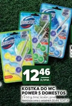 Stokrotka Market Kostka do WC Power 5 Domestos oferta