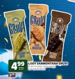 Stokrotka Market Lody Sammontana Gruvi oferta