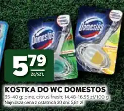 Stokrotka Market Kostka do WC Domestos oferta
