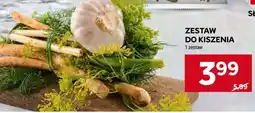 Stokrotka Market Zestaw do kiszenia oferta
