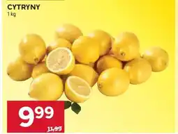 Stokrotka Market Cytryny oferta