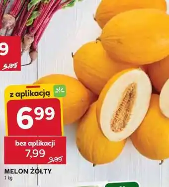 Stokrotka Market Melon żółty oferta