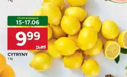Stokrotka Market Cytryny oferta