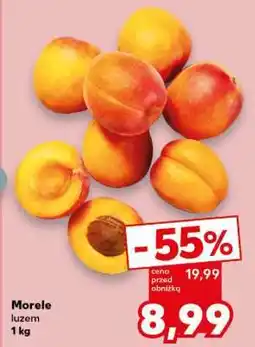 Kaufland Morele luzem 1 kg oferta