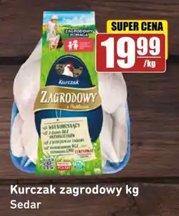 API MARKET Sedar Kurczak zagrodowy oferta