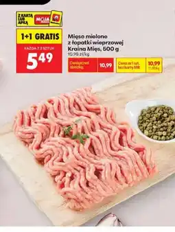 Biedronka Mięso mielone z łopatki wieprzowej Kraina Mięs oferta