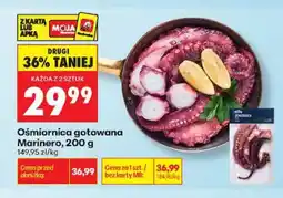 Biedronka Ośmiornica gotowana Marinero oferta