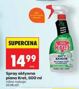 Biedronka Spray aktywna piana Kret Anty Kamień oferta