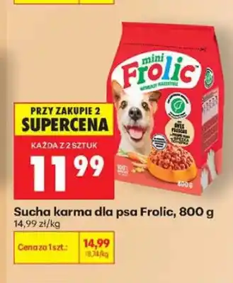 Biedronka Sucha karma dla psa Frolic oferta