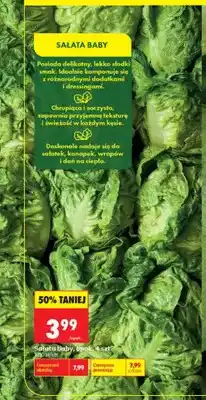 Biedronka Sałata baby 4-pak oferta