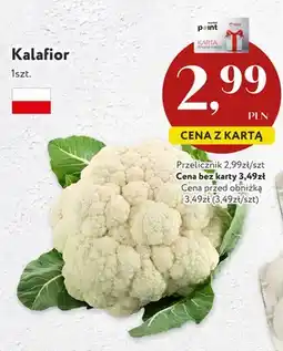 Market Point Kalafior oferta
