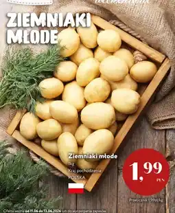 Market Point Ziemniaki młode polskie oferta