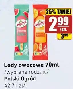 API MARKET Hortex Lody owocowe oferta