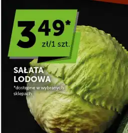 Groszek Sałata lodowa oferta