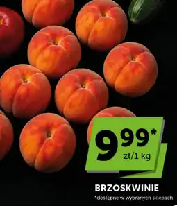 Groszek Brzoskwinie oferta