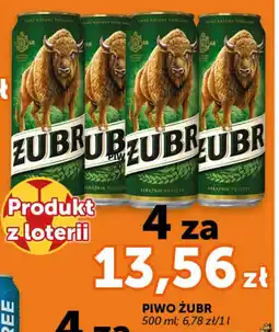 Groszek Żubr Piwo oferta