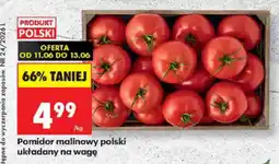 Biedronka Pomidor malinowy polski oferta