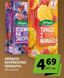 Groszek Herbapol Herbata ekspresowa oferta