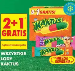 Biedronka Kaktus Wszystkie lody oferta