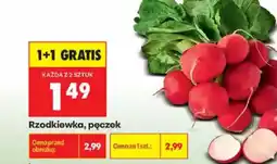 Biedronka Rzodkiewka oferta