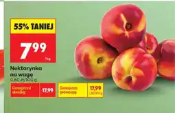 Biedronka Nektarynka oferta