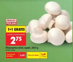 Biedronka Pieczarka mini oferta
