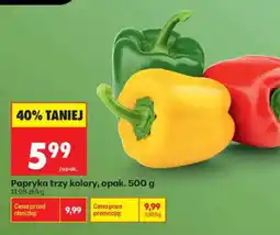 Biedronka Papryka trzy kolory oferta