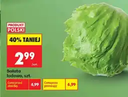 Biedronka Sałata lodowa oferta
