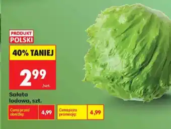Biedronka Sałata lodowa oferta