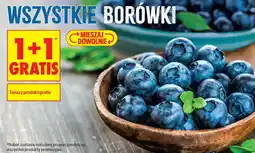 Biedronka Wszystkie borówki oferta