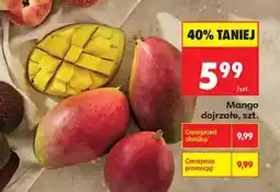 Biedronka Mango dojrzałe oferta