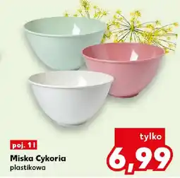 Kaufland Miska Cykoria plastikowa oferta